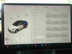Tesla Model Y Long Range All-Wheel Drive - ფოტო 8