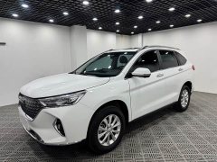 Haval M6 PLUS 1.5T Manual Liu Yan Limited Edition - ფოტო 3