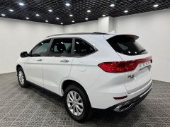 Haval M6 PLUS 1.5T Manual Liu Yan Limited Edition - ფოტო 9