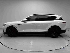 Voyah Lantu FREE 2025 318 318km RWD World Tour Edition - ფოტო 16
