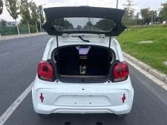 SAIC Corey Wei CLEVER 302km All-Purpose Edition - ფოტო 11