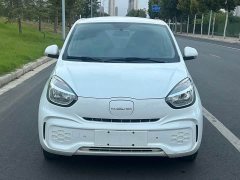 SAIC Corey Wei CLEVER 302km All-Purpose Edition - ფოტო 2