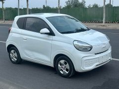 SAIC Corey Wei CLEVER 302km All-Purpose Edition - ფოტო 3