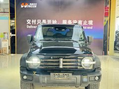 Tank 300 Off-Road Edition 2.0T Conqueror - ფოტო 2