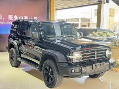 Tank 300 Off-Road Edition 2.0T Conqueror - ფოტო 3