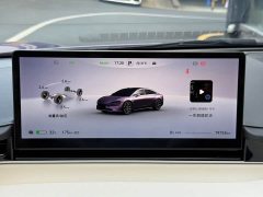 Luxeed Zhiji S7 705km Max - ფოტო 9