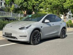 Tesla Model Y Long Range All-Wheel Drive - ფოტო 1