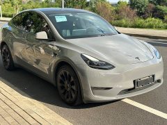 Tesla Model Y Long Range All-Wheel Drive - ფოტო 18