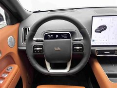 Li Auto L9 2022 Max - ფოტო 8