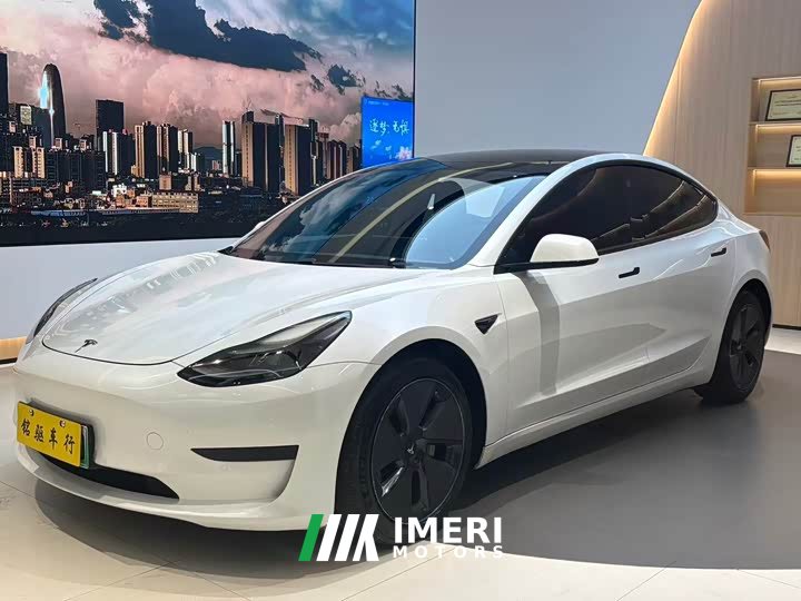 Tesla Model 3 Standard Range RWD Upgrade