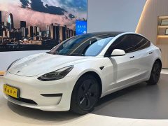 Tesla Model 3 Standard Range RWD Upgrade - ფოტო 1