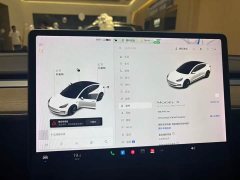 Tesla Model 3 Standard Range RWD Upgrade - ფოტო 14