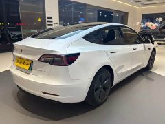 Tesla Model 3 Standard Range RWD Upgrade - ფოტო 7