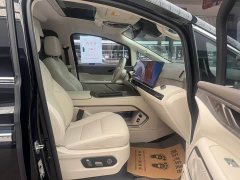 Great Wall WEY Shanshan New Energy Four-Wheel Drive Shanshan 8 - ფოტო 12