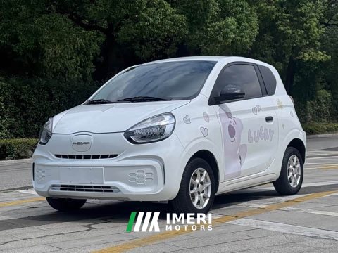 2022 SAIC Clever 311km Vitality Pop Edition - ავტომობილი ჩინეთიდან