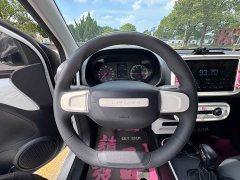 SAIC Clever 311km Vitality Pop Edition - ფოტო 15