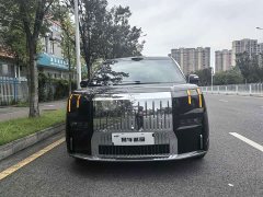 Zeekr Geely Geometry 009 Seven-Seat Ultra Home Edition - ფოტო 1