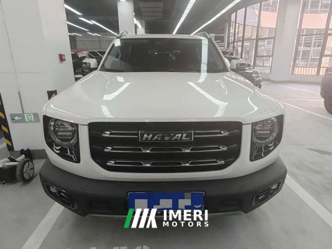 2022 Great Wall Dachshund 2.0T DCT Four-Wheel Drive Chinese Rural Dog Edition - ავტომობილი ჩინეთიდან