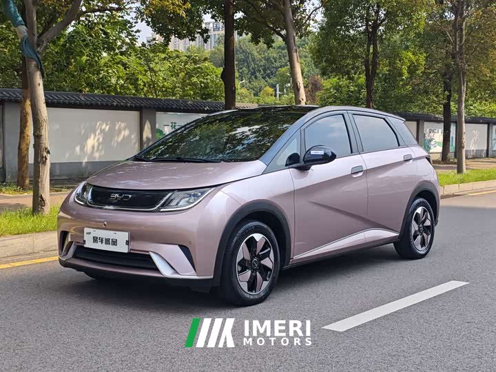 BYD Dolphin 2025 420km Fashion Edition - ავტომობილი ჩინეთიდან