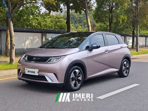 2024 BYD Dolphin 2025 420km Fashion Edition - ავტომობილი ჩინეთიდან