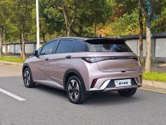 BYD Dolphin 2025 420km Fashion Edition - ფოტო 4