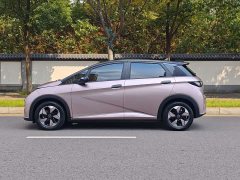 BYD Dolphin 2025 420km Fashion Edition - ფოტო 6
