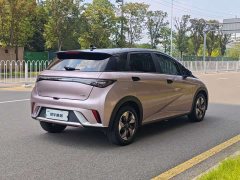 BYD Dolphin 2025 420km Fashion Edition - ფოტო 8