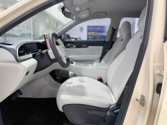 Geely Xing Yuan 310km Dream Edition - ფოტო 4