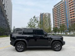 Jetour Jietu Traveler 2.0T Diesel DCT AWD Traverse - ფოტო 9