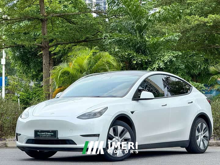 Tesla Model Y Standard Range RWD - ავტომობილი ჩინეთიდან