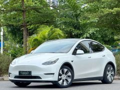 Tesla Model Y Standard Range RWD - ფოტო 1