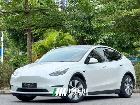 2021 Tesla Model Y Standard Range RWD - ავტომობილი ჩინეთიდან