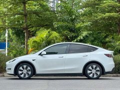 Tesla Model Y Standard Range RWD - ფოტო 4
