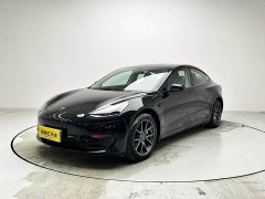 Tesla Model 3 Facelift Standard Range RWD Upgrade 3D1 - ფოტო 1