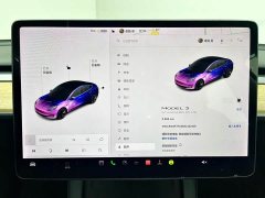 Tesla Model 3 Facelift Standard Range RWD Upgrade 3D1 - ფოტო 9
