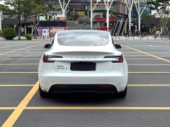 Tesla Model 3 Rear-Wheel Drive - ფოტო 6