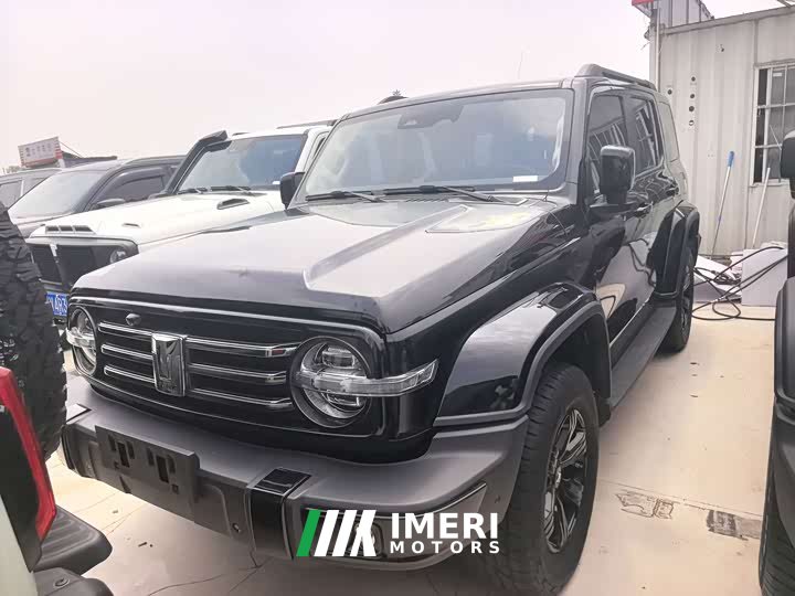 Tank 300 2023 Off-Road Edition 2.0T Conqueror - ავტომობილი ჩინეთიდან
