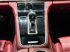 Porsche Panamera 2.9T - ფოტო 19