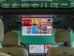 Li Auto L9 Ultra Smart Refresh Edition - ფოტო 17