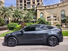 Tesla Model Y Rear-Wheel Drive - ფოტო 4