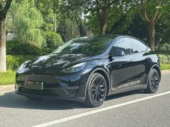 Tesla Model Y Rear-Wheel Drive - ფოტო 1