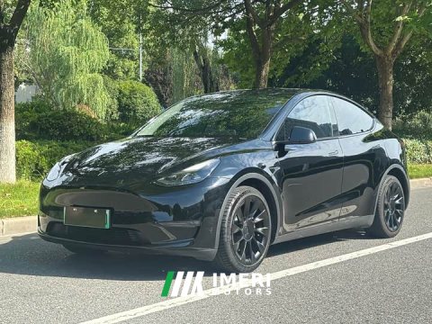 2022 Tesla Model Y Rear-Wheel Drive - ავტომობილი ჩინეთიდან