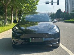 Tesla Model Y Rear-Wheel Drive - ფოტო 2