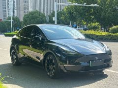 Tesla Model Y Rear-Wheel Drive - ფოტო 3