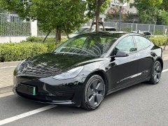 Tesla Model 3 2022 Rear-Wheel Drive - ფოტო 1