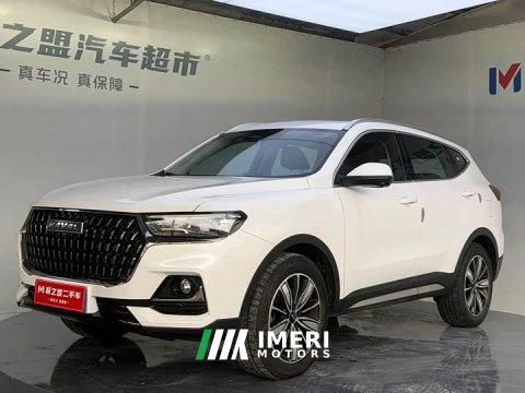 2023 Haval H6 National Trend Edition 1.5T Automatic Champion Version - ავტომობილი ჩინეთიდან