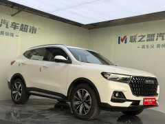 Haval H6 National Trend Edition 1.5T Automatic Champion Version - ფოტო 3