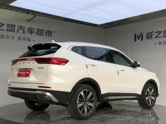 Haval H6 National Trend Edition 1.5T Automatic Champion Version - ფოტო 6