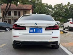 BMW 5 Series 530Li Luxury Edition Premium Package - ფოტო 8
