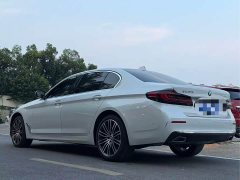 BMW 5 Series 530Li Luxury Edition Premium Package - ფოტო 9